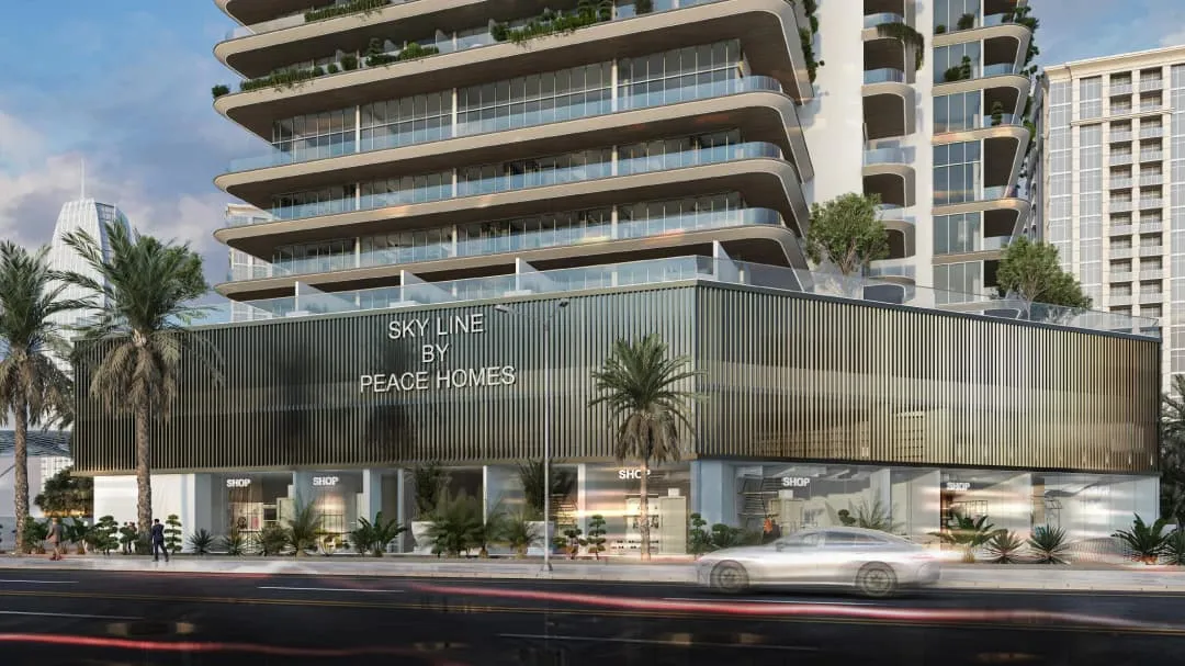 Sky Line by Peace Homes - photo 2